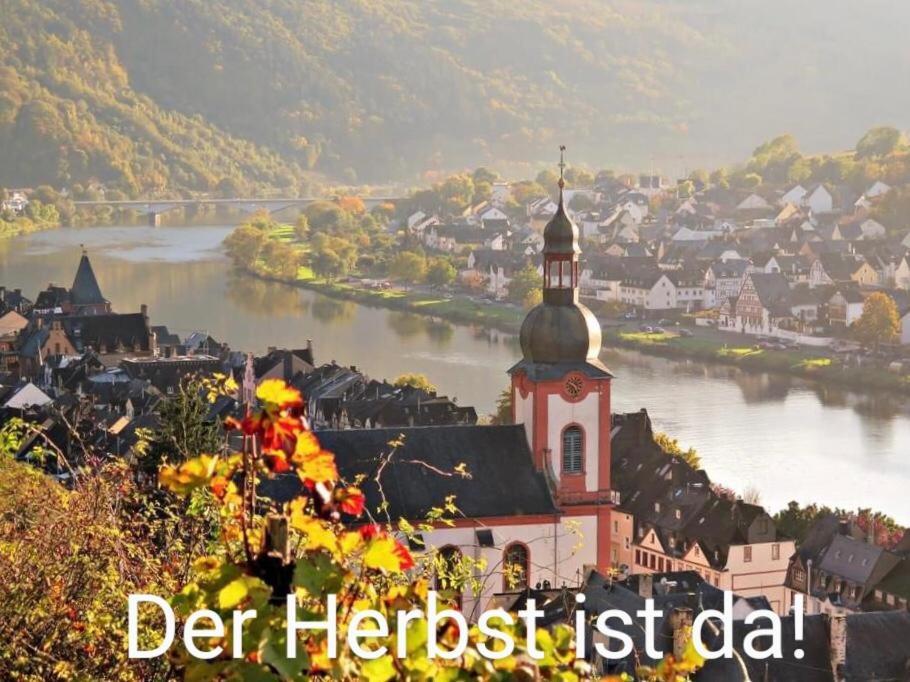 Haus Marientaler Au Gbr Hotel Zell an der Mosel Ngoại thất bức ảnh
